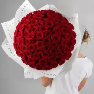 The Mayfair (The finest roses)