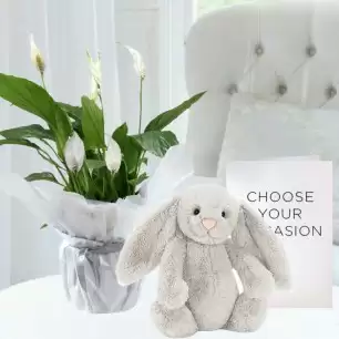 Peace Lily Plant, Bashful Silver Bunny (31cm) & Card
