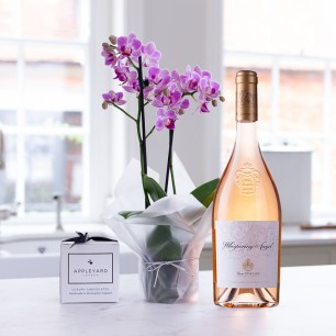 Mini Pink Orchid (20-25cm), Whispering Angel & 6 Mixed Truffles