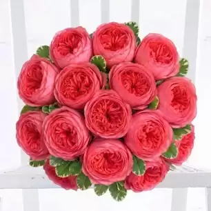 Pink Peony Garden Roses