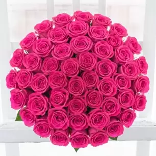 50 Pink Roses