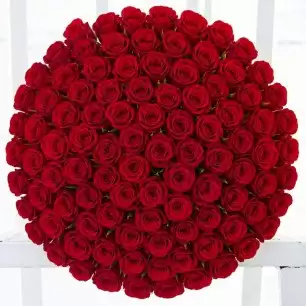 100 Red Roses