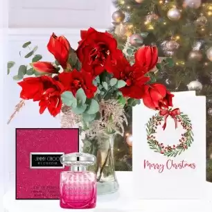 amaryllis bouquet, Jimmy Choo Blossom Eau de Parfum (40ml) & Christmas Card