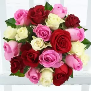 24-48 Mixed Roses        