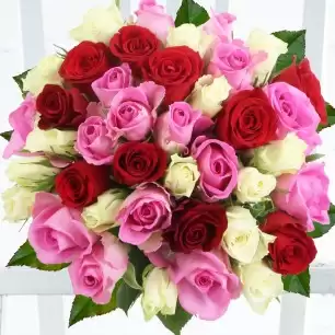 24-48 Mixed Roses