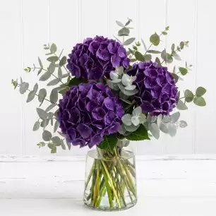 Simply Hydrangeas