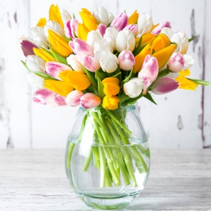 50 Springtime Tulips