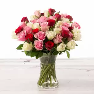 48 Mixed Roses