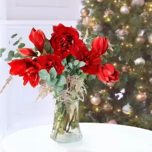 Amaryllis Bouquet & Vase