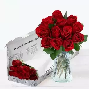 Letterbox 12 Red Roses