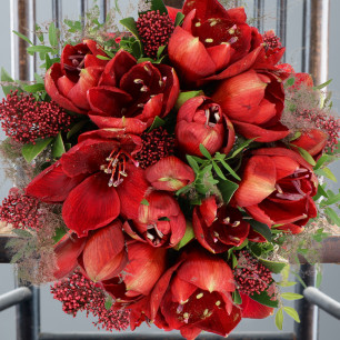 Amaryllis Bouquet Grande