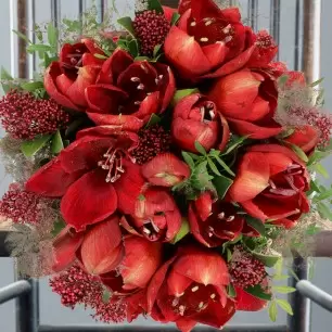 Amaryllis Bouquet Grande
