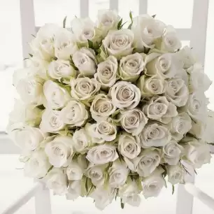 50 Luxury White Roses