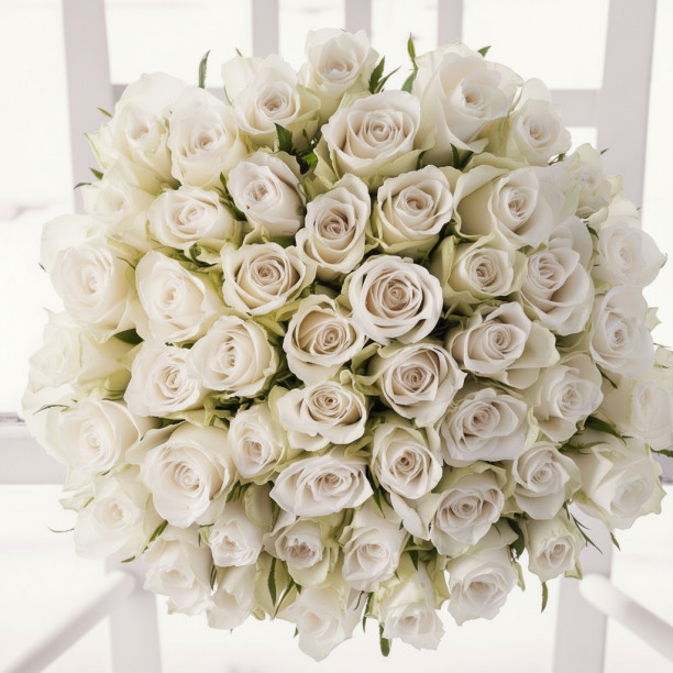 50 Luxury White Roses